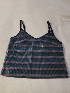 wild fable Teal & Lavender Striped Sequin Cami